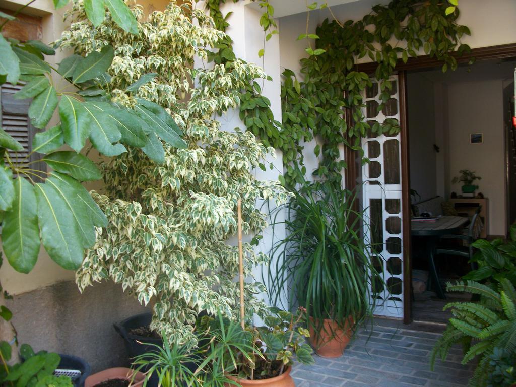 Jasmine'S Guest House 카를로바씨 객실 사진
